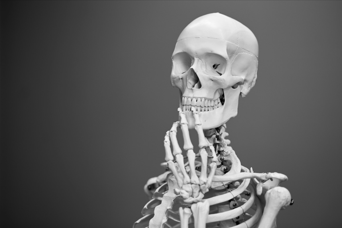 Featured image for “The Anatomy of Church Renewal: A Helpful Metaphor For Navigating Change”